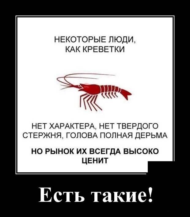 www.vsyako.net