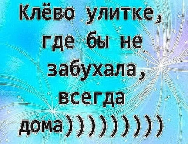 https://api-mail.walla.co.il/proxy?url=http%3A%2F%2Fmtdata.ru%2Fu20%2Fphoto8EF8%2F20340686877-0%2Foriginal.jpg&scr=a425a51c65e85885996c1bffbfe364e4