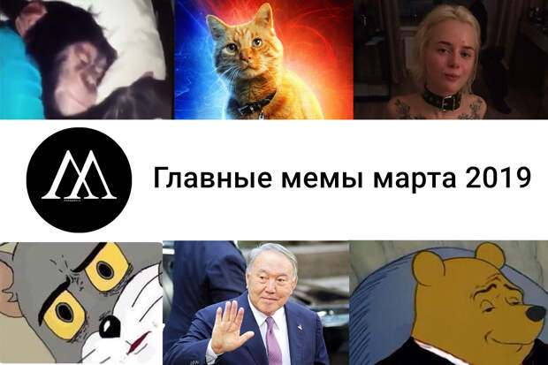 мемы марта 2019
