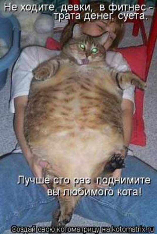 Смешные фотографии из серии "Ой, какая киса"