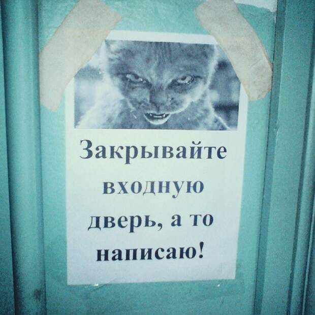 Прикольные объявления объявления, прикол, юмор
