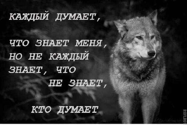 www.vsyako.net