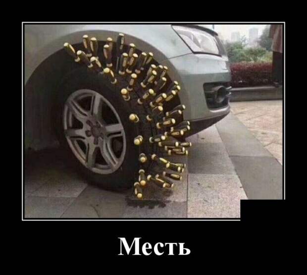 Свежие и прикольные демотиваторы для вечернего настроения