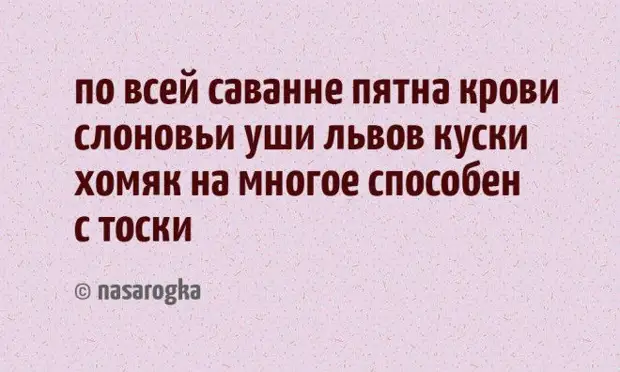 17 СТИШКОВ-ПИРОЖКОВ С НЕОЖИДАННЫМ КОНЦОМ, КОТОРЫЕ РАССМЕШАТ ВАС ДО СЛЕЗ