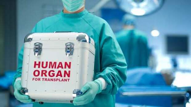 В ЛНР сообщили о появлении «чёрных трансплантологов» под Артёмовском | Русская весна