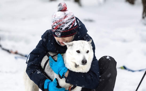 Фестиваль ездового спорта прошёл на базе «Звёздный» в Спасском округе