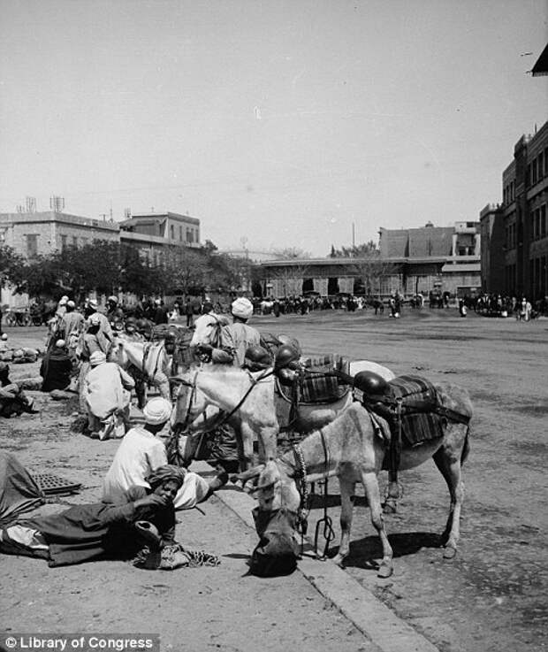 Каир 1900 - 1936