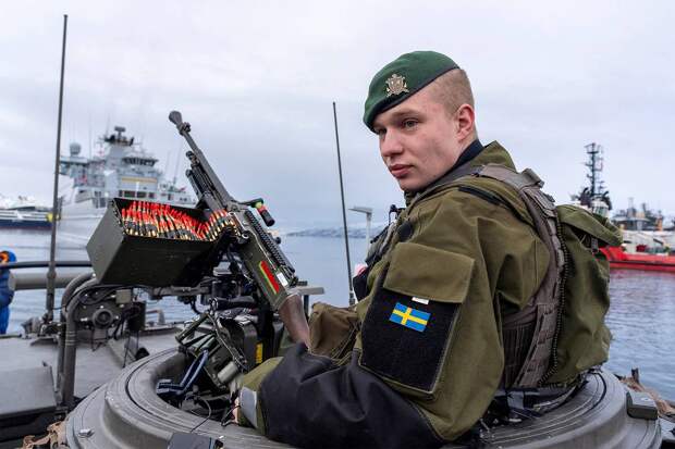 Страны Северной Европы захотели использовать Россию в своих целях