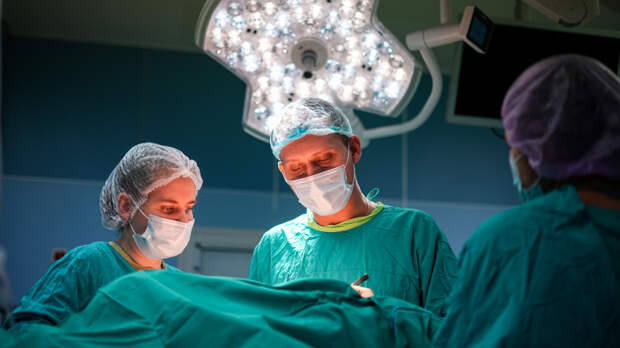 Теперь бесплатно: какие органы могут пересадить по полису ОМС