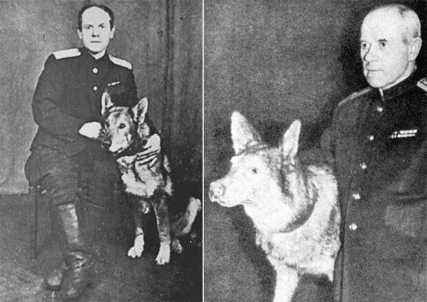 Пётр Серапионович Бушмин и Султан – прототип кинематографического Мухтара