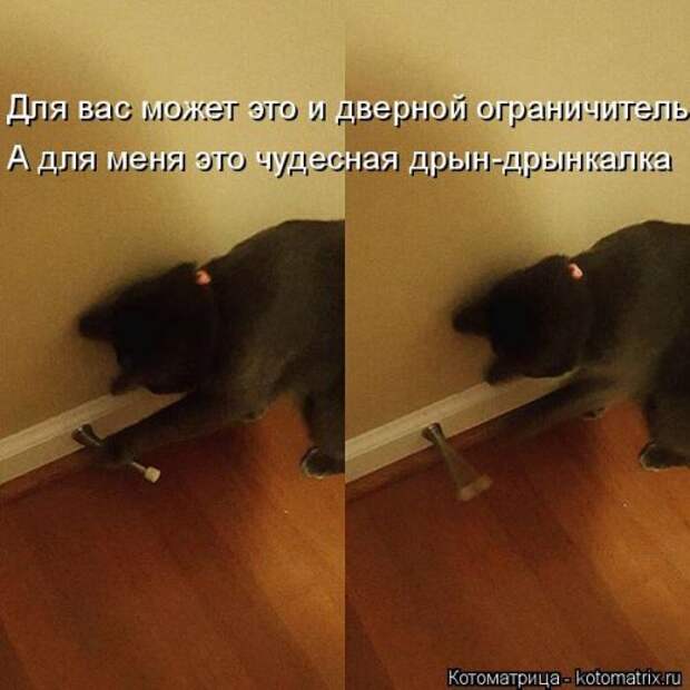 Свежая котоматрица на Бугаге (37 фото)