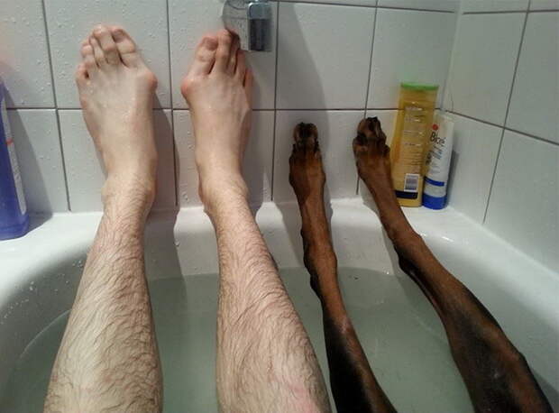 funny-tumblr-dogs10__700