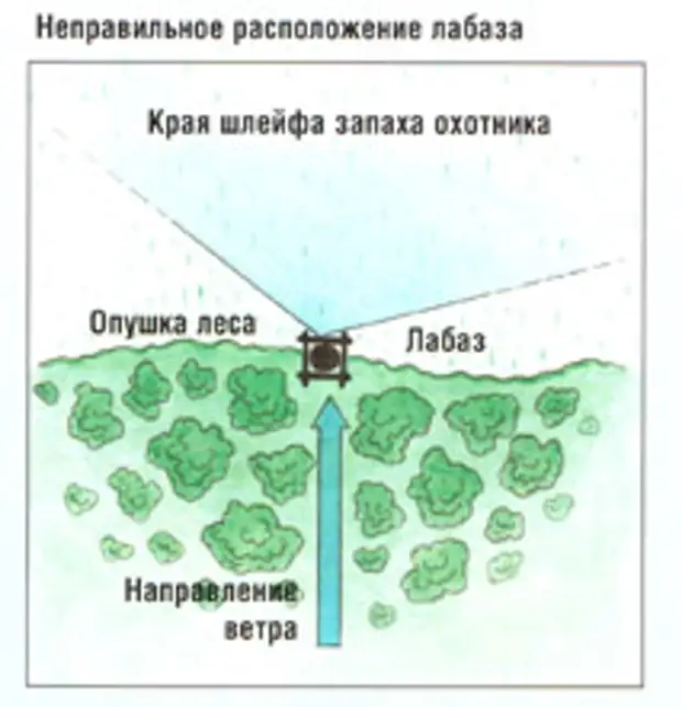 Карта села лабазы