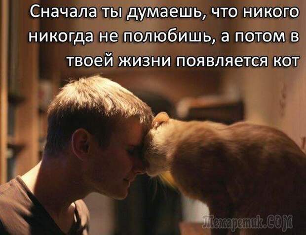 Смешные открытки с философские уклоном