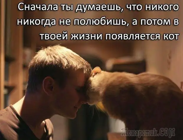 Смешные открытки с философские уклоном