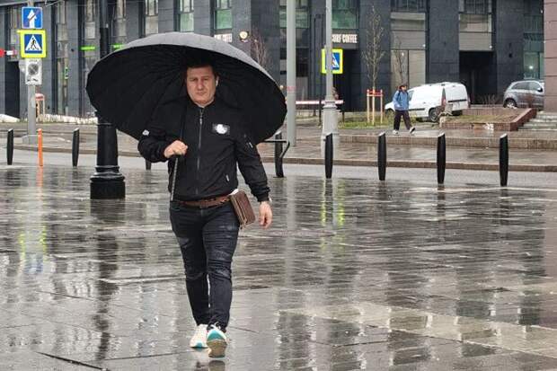 Дожди и холод придут с Урала в Новосибирск к 27 апреля