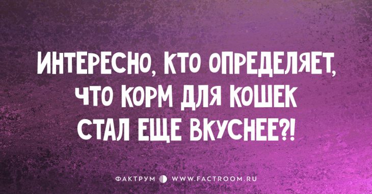 15 коротеньких анекдотов, над которыми вы будете долго смеяться!
