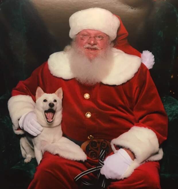 The photo turned out perfectly: