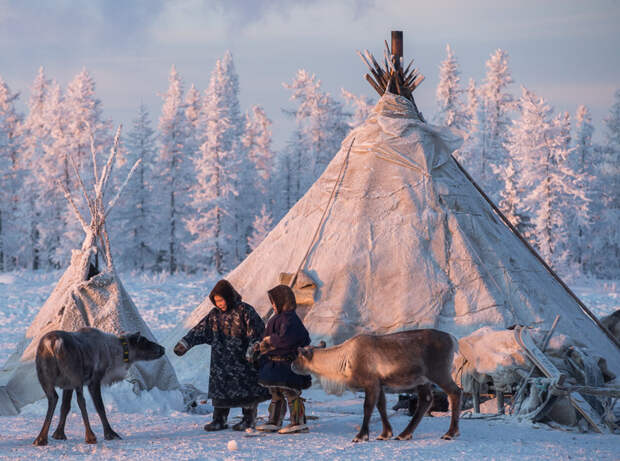 Ямало-Ненецкий автономный округ Среднегодовая температура на Крайнем Севере: −10 °С. Минимальные температуры зимой опускаются до −70 °С зима, красота России