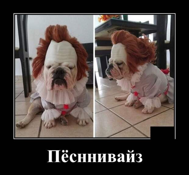 Демотиваторы (20 фото)