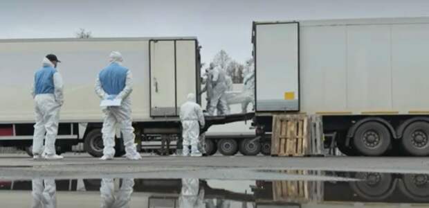 Россия и Украина провели обмен телами погибших военных