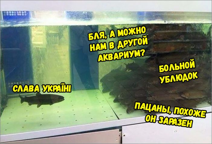 3181acc4cdfcb3c8c5.jpg
