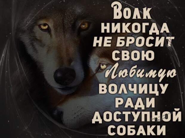 www.vsyako.net