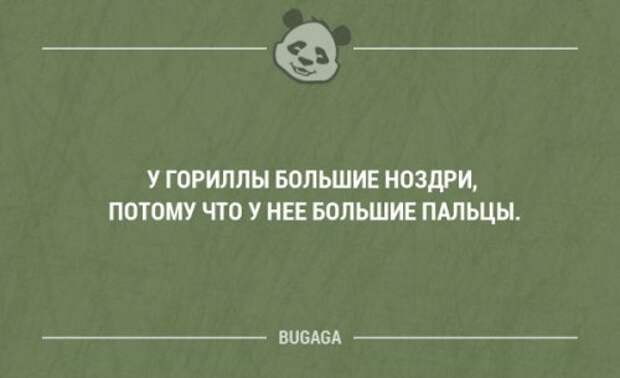 C кем шутки плохи, с тем и всё остальное так себе.