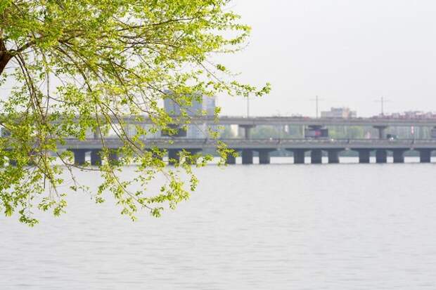 Наташа Королёва прокомментировала новый препарат для снижения веса