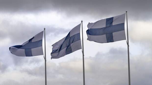 В Финляндии сообщили о массовом провозе санкционных товаров в Россию