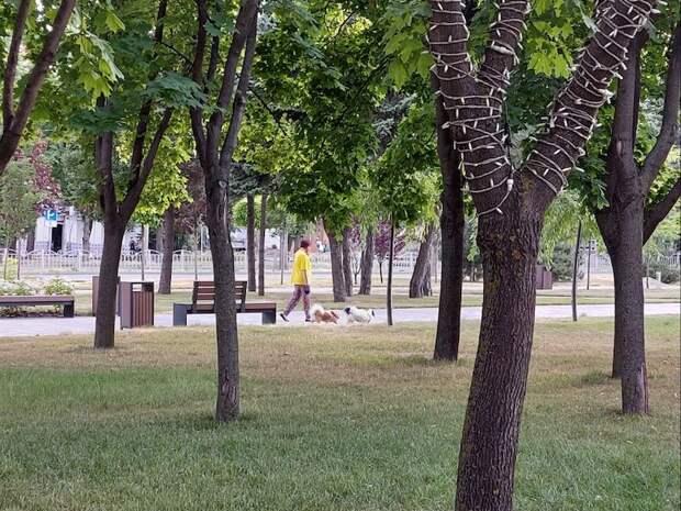 Мариуполь не просто жив, у него огромные планы на будущее Мариуполь не просто жив, у него огромные планы на будущее