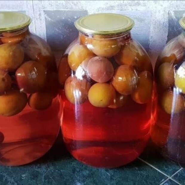 ПРОСТОЙ СЛИВОВЫЙ КОМПОТ