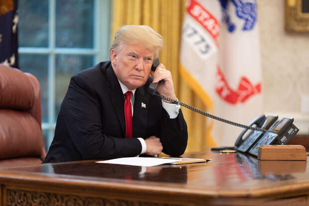Бордель имени Дональда Трампа накрыли в Ленобласти