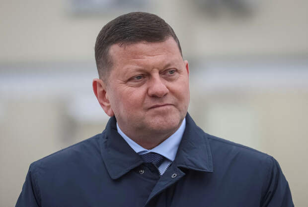 В Совфеде оценили слова Залужного о границах Украины