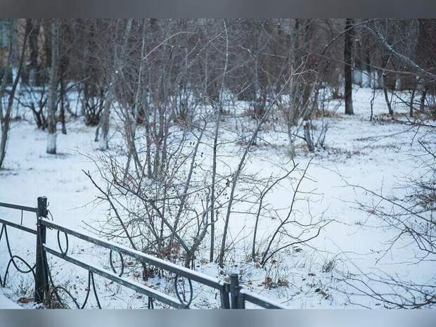 Сильный ветер и метель пообещали Забайкалью