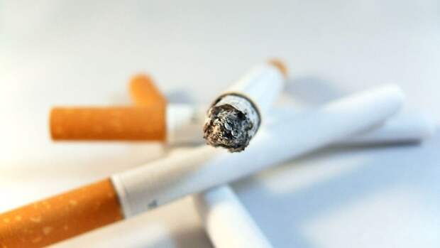 Екатеринбурженка обвиняется в сбыте немаркированного табака на 8,5 млн рублей