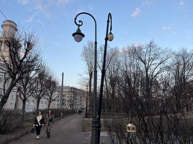 За проекты нового освещения в Петербурге заплатят 85 млн