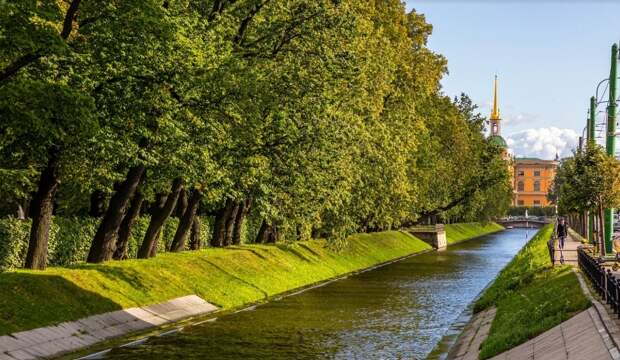 В Петербурге изучат зеленые насаждения на трассах и набережных