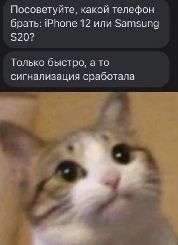 Лучшие шутки и мемы из Сети