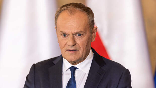 Депутат Толмачев: Польша испытывает фантомные боли из-за успехов России