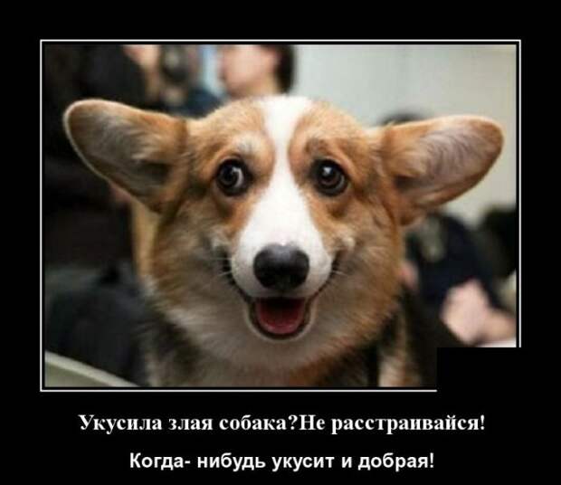 www.vsyako.net
