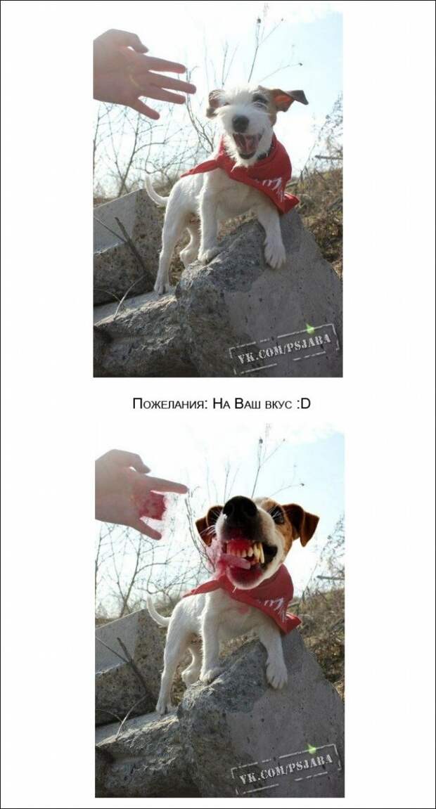 Отфотошопте мое фото Отфотошопте мое фото