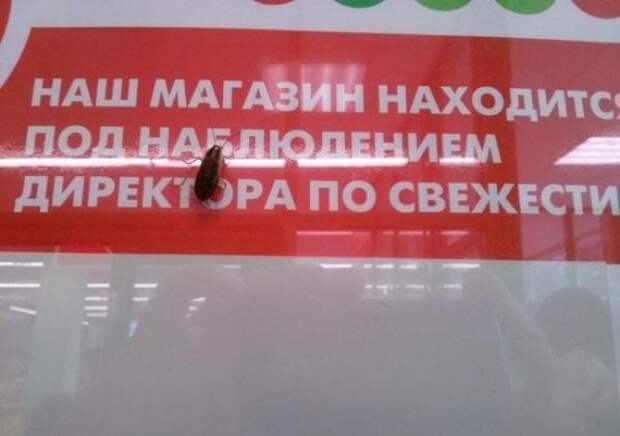 Прикольные объявления объявления, прикол, юмор