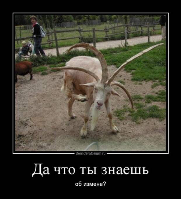 Новые демотиваторы на Бугаге (17 шт)