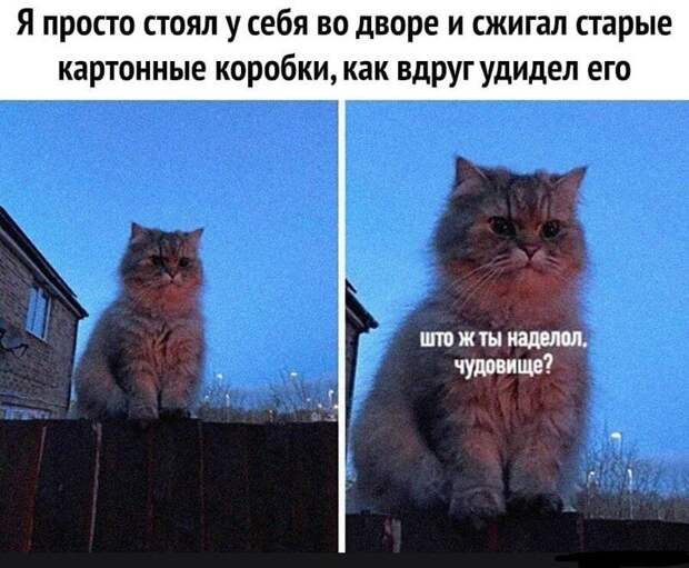 Што ж ты наделал) Што ж ты наделал)