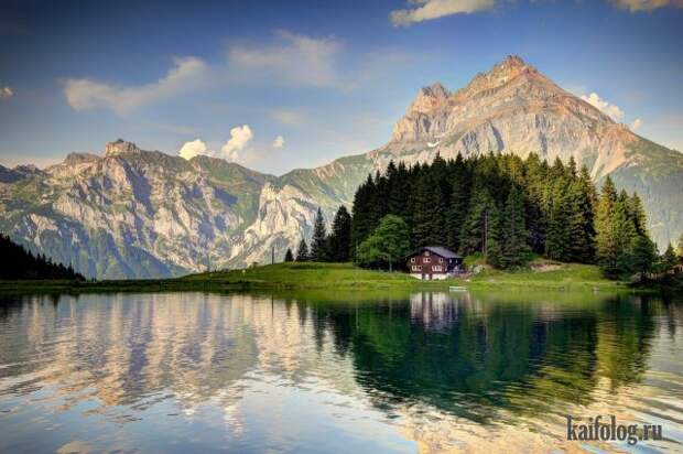 Реальная красота (60 фото)