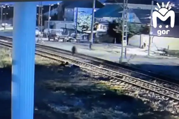 Прохожий спас упавшего на пути мужчину за секунду до прибытия поезда и попал на видео