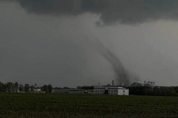 Во Львовской области буря и смерч оставили без света 103 населенных пункта