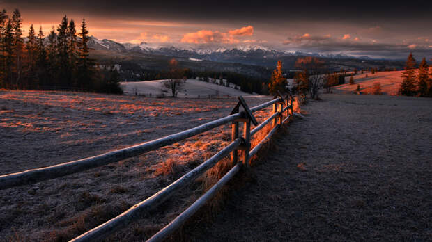 Frosty morning by Tomasz Rojek on 500px.com