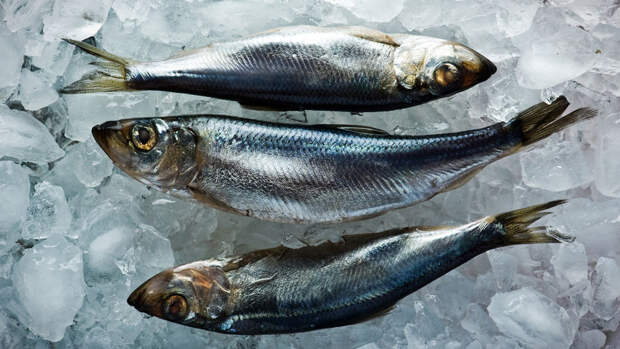 Nature Foods: мелкая дикая рыба снижает риск летального исхода от рака у женщин
